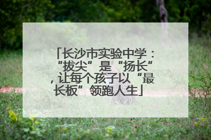 长沙市实验中学：“拔尖”是“扬长”，让每个孩子以“最长板”领跑人生