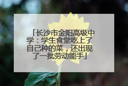 长沙市金阳高级中学：学生食堂吃上了自己种的菜，还出现了一批劳动能手