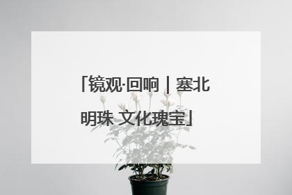 镜观·回响｜塞北明珠 文化瑰宝