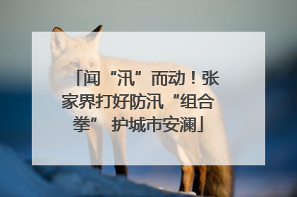 闻“汛”而动！张家界打好防汛“组合拳” 护城市安澜