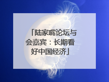 陆家嘴论坛与会嘉宾：长期看好中国经济