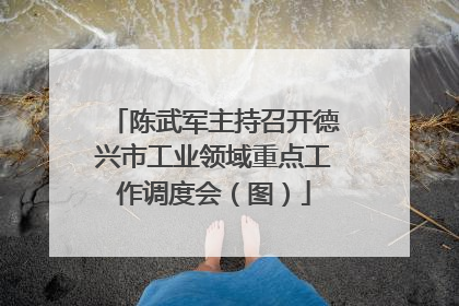 陈武军主持召开德兴市工业领域重点工作调度会（图）