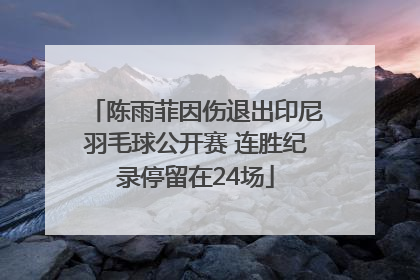 陈雨菲因伤退出印尼羽毛球公开赛 连胜纪录停留在24场