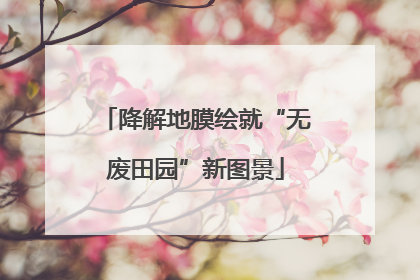 降解地膜绘就“无废田园”新图景