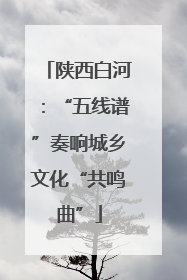 陕西白河：“五线谱”奏响城乡文化“共鸣曲”