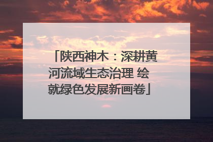 陕西神木：深耕黄河流域生态治理 绘就绿色发展新画卷