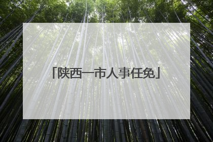 陕西一市人事任免