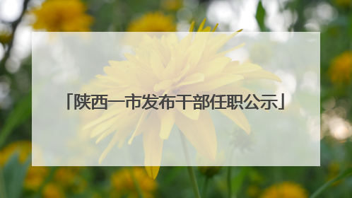 陕西一市发布干部任职公示