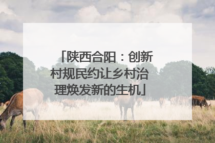陕西合阳：创新村规民约让乡村治理焕发新的生机