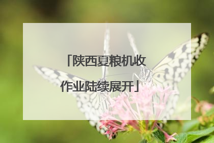陕西夏粮机收作业陆续展开