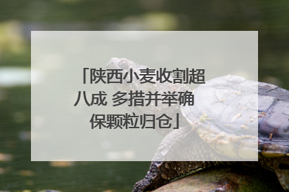 陕西小麦收割超八成 多措并举确保颗粒归仓