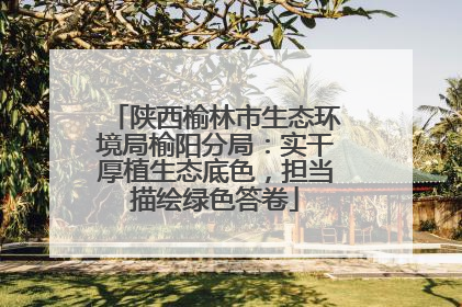 陕西榆林市生态环境局榆阳分局：实干厚植生态底色，担当描绘绿色答卷