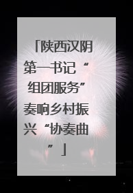 陕西汉阴第一书记“组团服务”奏响乡村振兴“协奏曲”