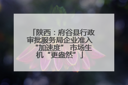 陕西：府谷县行政审批服务局企业准入“加速度” 市场生机“更盎然”