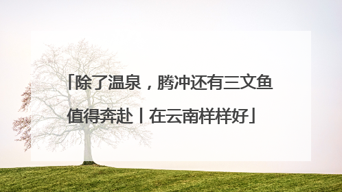 除了温泉，腾冲还有三文鱼值得奔赴丨在云南样样好