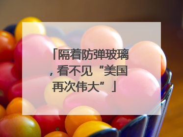 隔着防弹玻璃，看不见“美国再次伟大”