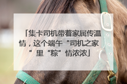 集卡司机带着家属传温情，这个端午“司机之家”里“粽”情浓浓