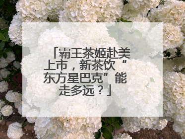 霸王茶姬赴美上市，新茶饮“东方星巴克”能走多远？