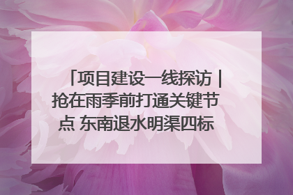 项目建设一线探访｜抢在雨季前打通关键节点 东南退水明渠四标段项目顺利完工