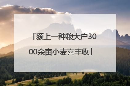 颍上一种粮大户3000余亩小麦喜丰收