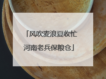 风吹麦浪夏收忙 河南老兵保粮仓