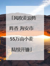 风吹麦浪阵阵香 海安市55万亩小麦陆续开镰