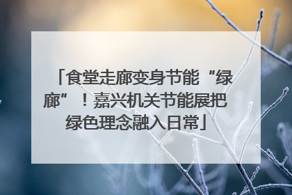 食堂走廊变身节能“绿廊”！嘉兴机关节能展把绿色理念融入日常
