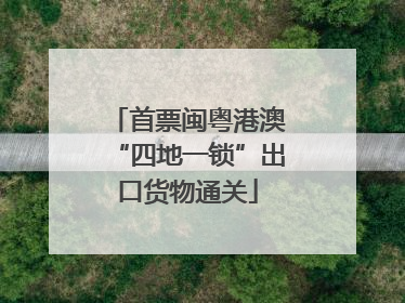 首票闽粤港澳“四地一锁”出口货物通关