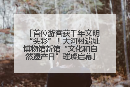 首位游客获千年文明“头彩”！大河村遗址博物馆新馆“文化和自然遗产日”璀璨启幕