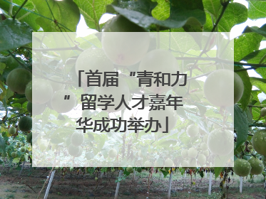 首届“青和力”留学人才嘉年华成功举办