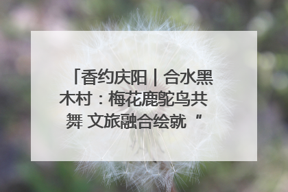 香约庆阳｜合水黑木村：梅花鹿鸵鸟共舞 文旅融合绘就“诗与远方”