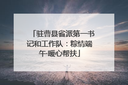 驻曹县省派第一书记和工作队：粽情端午·暖心帮扶