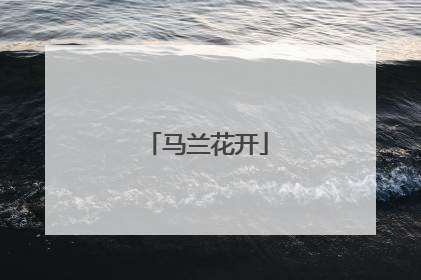 马兰花开