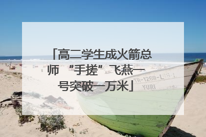 高二学生成火箭总师 “手搓”飞燕一号突破一万米