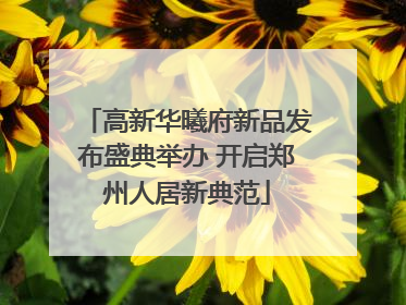 高新华曦府新品发布盛典举办 开启郑州人居新典范