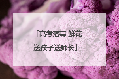 高考落幕 鲜花送孩子送师长
