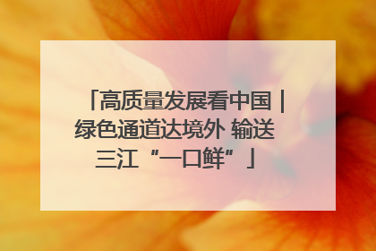 高质量发展看中国｜绿色通道达境外 输送三江“一口鲜”