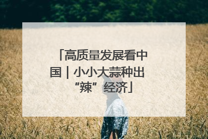 高质量发展看中国｜小小大蒜种出“辣”经济