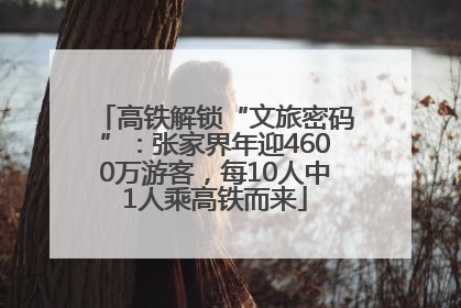 高铁解锁“文旅密码”：张家界年迎4600万游客，每10人中1人乘高铁而来