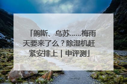 齁斯、乌苏……梅雨天要来了么？除湿机赶紧安排上｜申评测