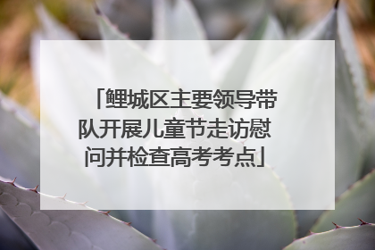 鲤城区主要领导带队开展儿童节走访慰问并检查高考考点