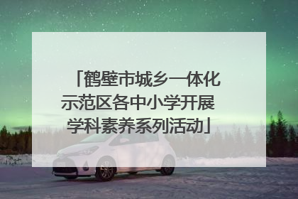 鹤壁市城乡一体化示范区各中小学开展学科素养系列活动
