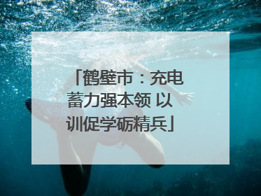 鹤壁市：充电蓄力强本领 以训促学砺精兵