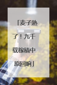 麦子熟了！九千载稼穑中原回响