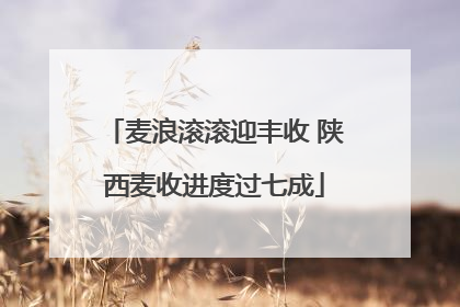 麦浪滚滚迎丰收 陕西麦收进度过七成