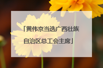 黄伟京当选广西壮族自治区总工会主席