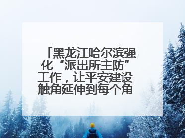 黑龙江哈尔滨强化“派出所主防”工作，让平安建设触角延伸到每个角落……