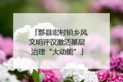 黟县宏村镇乡风文明评议激活基层治理“大动能”