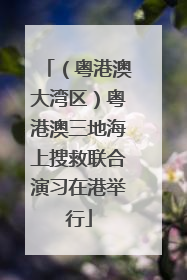 （粤港澳大湾区）粤港澳三地海上搜救联合演习在港举行