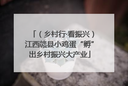 （乡村行·看振兴）江西赣县小鸡蛋“孵”出乡村振兴大产业